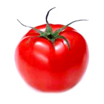 Lycopene